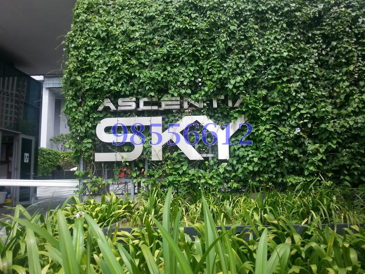 Ascentia Sky (D3), Condominium #99945962